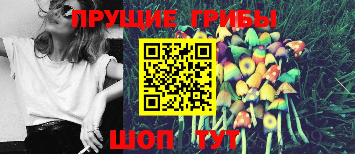 Галлюциногенные грибы Magic Shrooms  что такое наркотик  Шадринск  Псилоцибиновые грибы MAGIC MUSHROOMS  Вход с VPN 