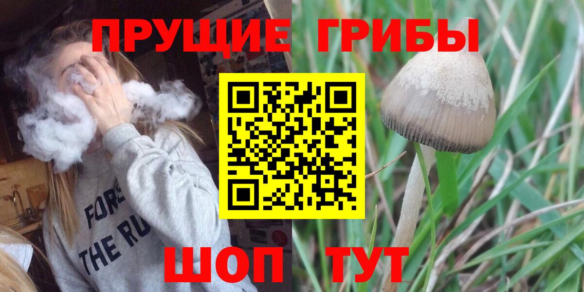 Галлюциногенные грибы мухоморы Шадринск